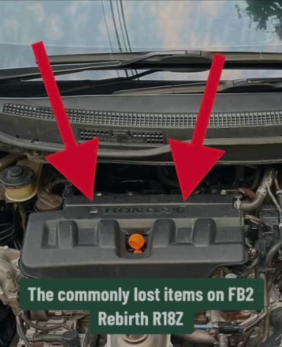 Valve Cover Clips - SET - Honda